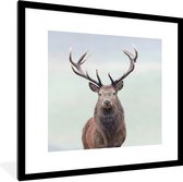 Affiche avec cadre Cerf - Herbe - Ciel - 40x40 cm