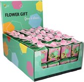 Buzzy Klavertje 4 Flower Gift - 48 stuks - leuk om uit te delen - bloempotje + zakje zaden + potgrondtabletje