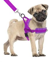Hondentuigje - voor kleine honden - paars - maat XS - incl. schokabsorberende hondenriem - veilig en makkelijk voor baas en hond