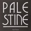 Yann Tiersen - Palestine (12" Vinyl Single)