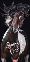 Haas, W: Shake it, Baby! Kalender 2022