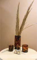 Home Styling Box | Luipaardprint | Woonaccessoires | Glas | Waxinelichthouders | Vaas | Tijger | Goud