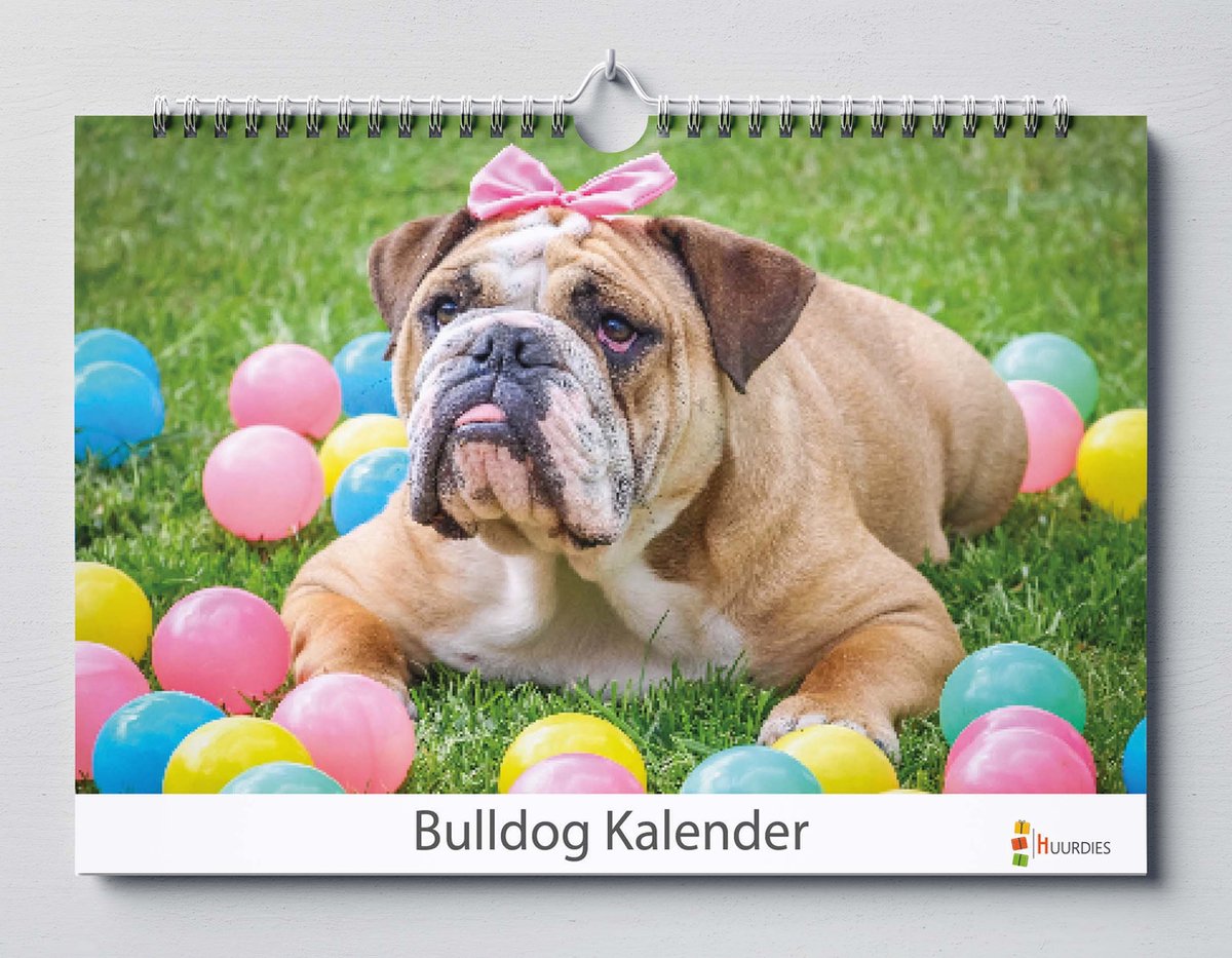 Bulldog kalender 35x24 cm | Verjaardagskalender Bulldog honden | Grappige Bulldog honden | Verjaardagskalender Volwassenen