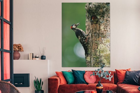Un grand pic tacheté à son nid au Japon Toile 120x160 cm - Tirage photo sur Toile (Décoration murale salon / chambre) XXL / Groot format!