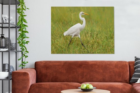 Tableau sur toile Grande aigrette marchant dans une pelouse - 120x90 cm - Décoration murale