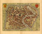 Mooie historische plattegrond, kaart van de stad Haarlem, door L. Guicciardini in 1612
