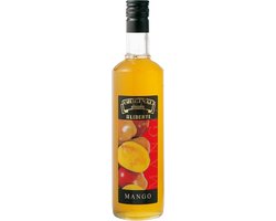 Foto: Botanica gedroogde appel schijfjes 80 g 100 natuurlijk garnering voor gin tonic cocktails desserts premium gedroogd fruit van belgisch bedrijf
