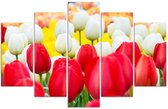 Trend24 - Canvas Schilderij - Witte En Rode Tulpen - Vijfluik - Bloemen - 200x100x2 cm - Rood