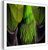 Trend24 - Canvas Schilderij - Limoenkleurige Veren - Schilderijen - Dieren - 50x50x2 cm - Groen