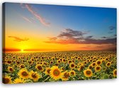 Trend24 - Canvas Schilderij - Weide Van Zonnebloemen - Schilderijen - Bloemen - 90x60x2 cm - Geel