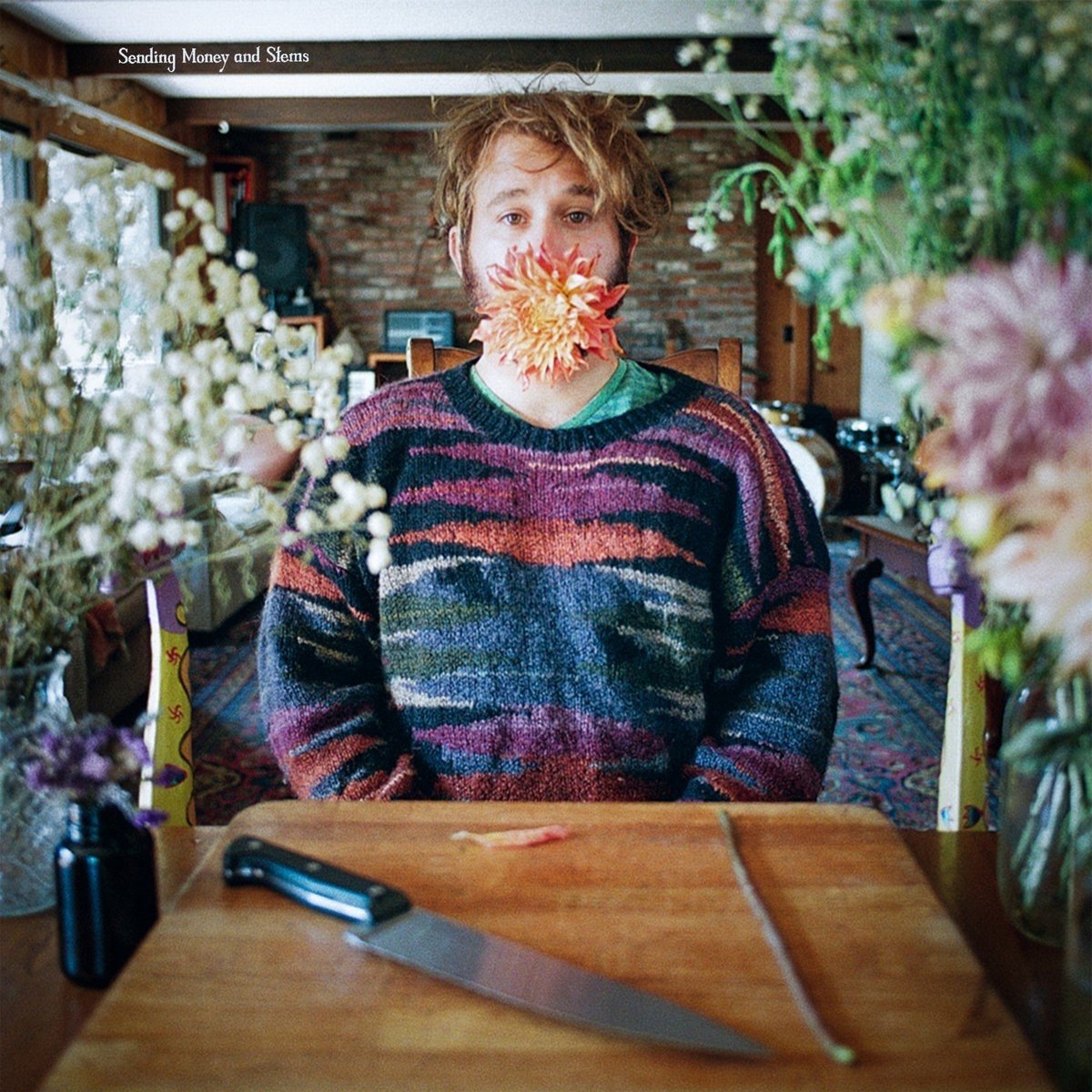 Joe Kaplow - Sending Money and Stems (LP) (Limited Edition) (Coloured Vinyl)