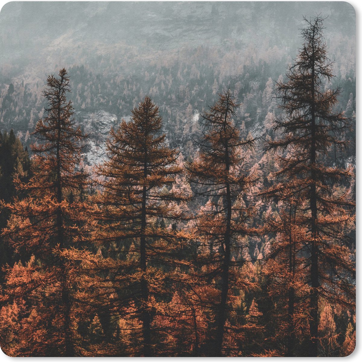 Muismat 20x20 cm - Mousepad Bomen - Mist - Winter - Muismatten