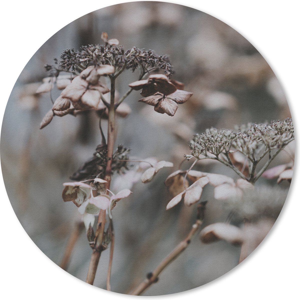 Muismat rond 40x40 cm - Mousepad Bloemen - IJs - Winter - Ronde muismatten
