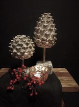 Stenen dennenappel S