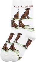 Funs sokken met hond Bruine Labrador