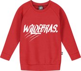 KMDB Sweater Echo Wildebras maat 110