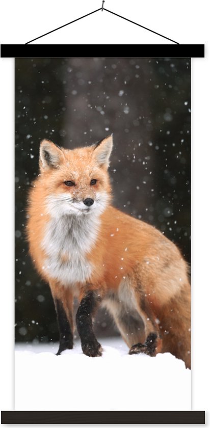 Porte-affiche avec affiche - Affiche scolaire - Renard - Neige - Hiver - 60x120 cm - Lattes noires