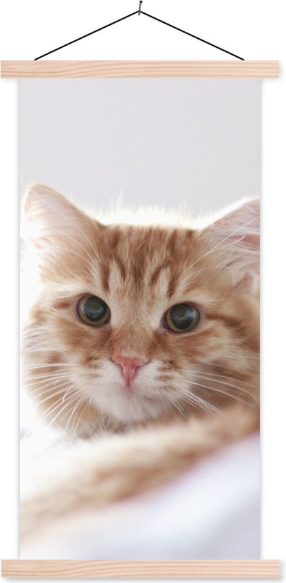 Porte-affiche avec affiche - Affiche scolaire - Chat - Rouge - Lit - Filles - Enfants - Garçons - Kids - 60x120 cm - lattes vierges