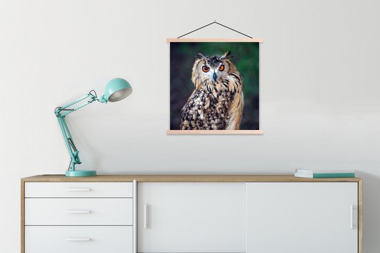 Affiche scolaire - Hibou Grand-duc - 60x60 cm - Lattes blanches