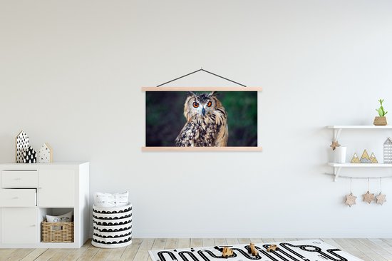 Porte-affiche avec affiche - Affiche scolaire - Hibou grand-duc - 120x60 cm - Lattes vierges