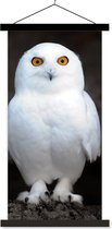 Affiche scolaire - Harfang des neiges - 90x180 cm - Lattes noires