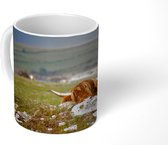 Mok - Schotse Hooglander - Stenen - Gras - 350 ML - Beker