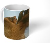 Mok - Koffiemok - Beer - Bladeren - Gras - Mokken - 350 ML - Beker - Koffiemokken - Theemok