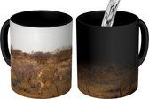 Magische Mok - Foto op Warmte Mok - Landschap van het Krugerpark in Zuid-Afrika - 350 ML