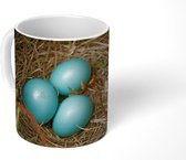 Mok - Koffiemok - Eieren - Blauw - Roodborstje - Mokken - 350 ML - Beker - Koffiemokken - Theemok