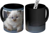 Magische Mok - Foto op Warmte Mokken - Koffiemok - Kitten - Kat - Dier - Magic Mok - Beker - 350 ML - Theemok