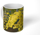 Mok - Mimosa plant met gele bladeren - 350 ML - Beker