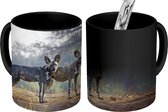 Magische Mok - Foto op Warmte Mok - Twee Afrikaanse wilde honden met hun pup - 350 ML