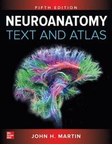 Neuroanatomie 1 - Oefententamen +100 vragen (Bewegingswetenschappen)