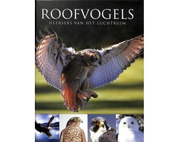 Roofvogels