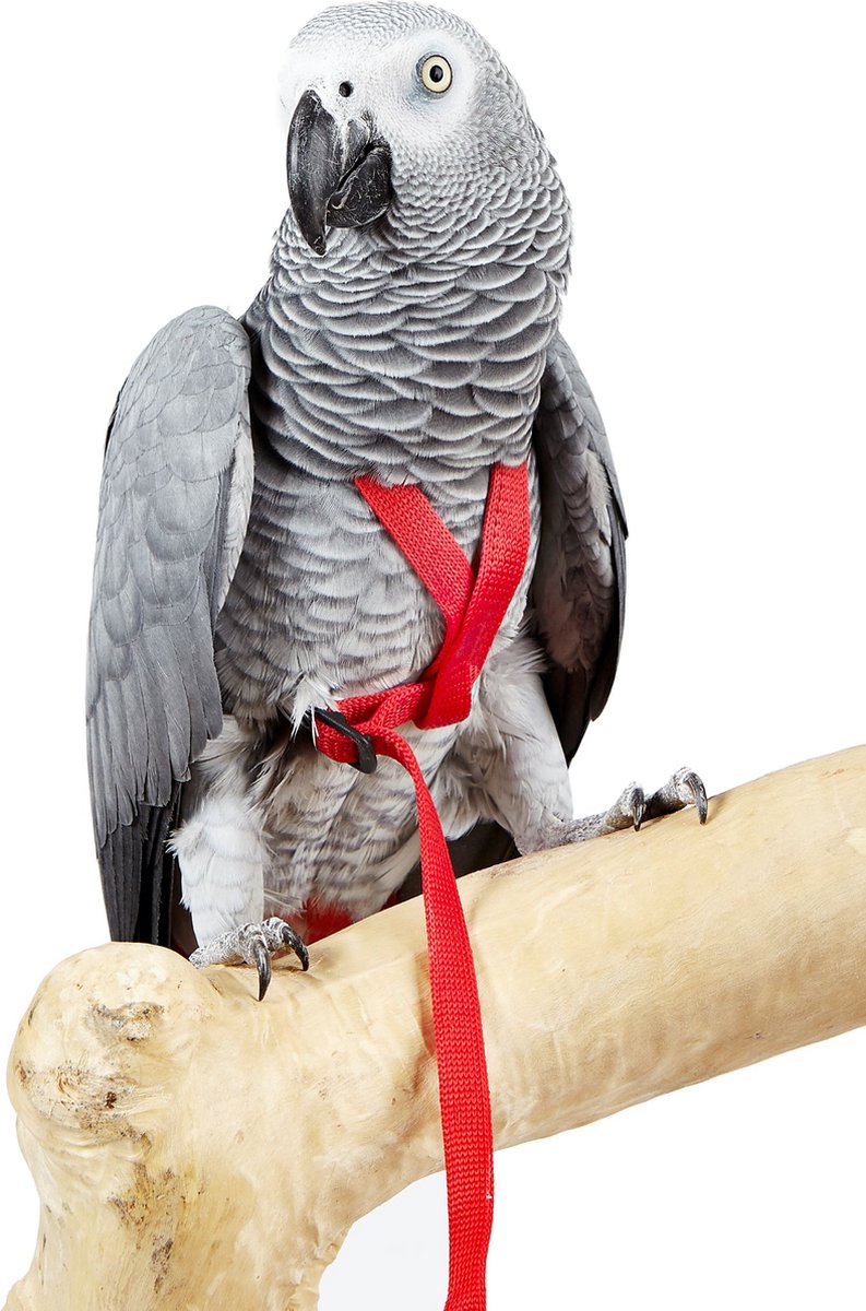 Vogeltuigje maat L