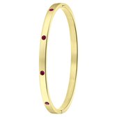 Lucardi Dames Goldplated armband bangle geboortestenen - Staal - Armband - Cadeau - Stijlvol - Goudkleurig