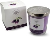 Green Tree Geurkaars French Lavender (200 gram)