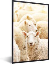 Cadre photo avec affiche - Mouton - Laine - Wit - 60x90 cm - Cadre pour affiche