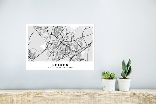 Poster Stadskaart - Leiden - Nederland - 30x20 cm - Plattegrond