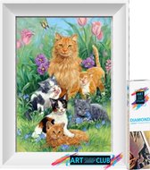 Artstudioclub™  Diamond painting volwassenen 30*40cm  kat