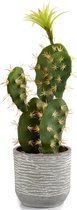 Ibergarden Cactus 20 X 14 X 46 Cm Rood