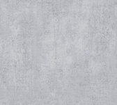 AS Creation Titanium 3 - Papier peint industriel - Craquelé Aspect béton - gris argent chaud - 1005 x 53 cm