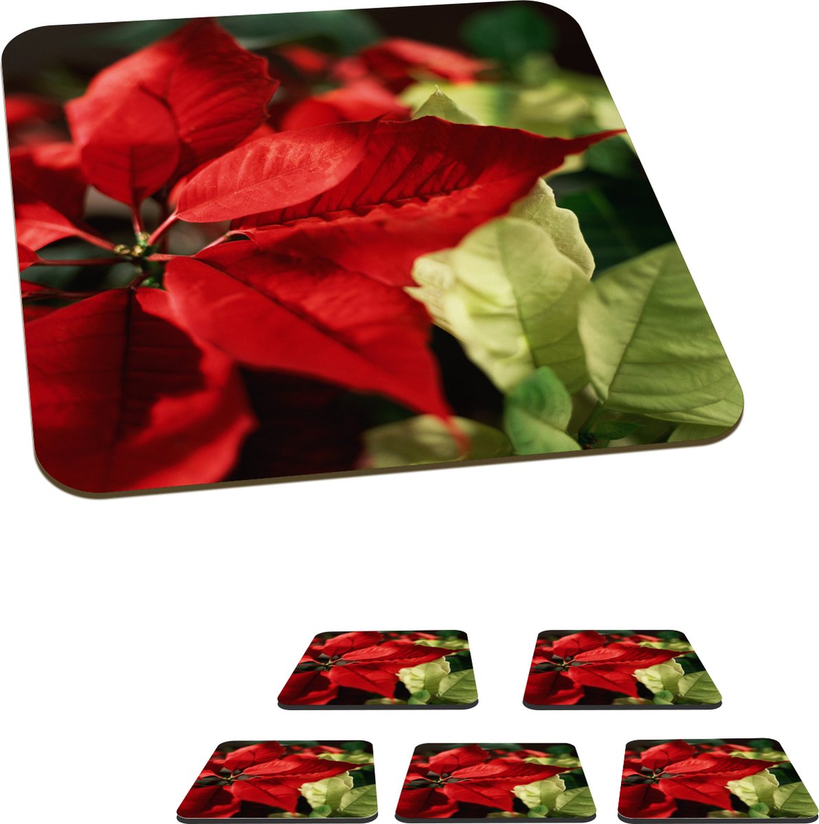 Onderzetters voor glazen - Kerstroos - Kerstbloem - Kerst - 10x10 cm - Glasonderzetters - 6 stuks