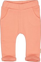 Quapi - Pants Marion - Pink-56