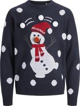 PRODUKT PKTORI XMAS SNOW KNIT LS Heren Trui - Maat M