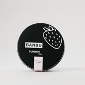 Banbu Tandpasta poeder Summer - 2 stuks - Aardbei smaak - blikvorm - zero waste