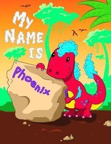 My Name is Phoenix