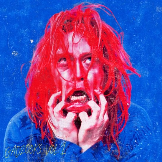 Caleb Landry Jones - Gadzooks Vol.1 (CD)