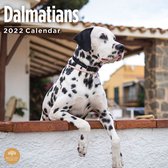 Dalmatier Kalender 2022