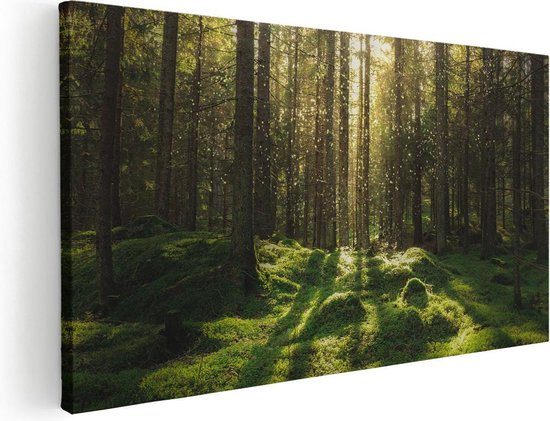 Artaza Canvas Schilderij Bos met Groen Mos op de Grond - 80x40 - Foto Op Canvas - Canvas Print